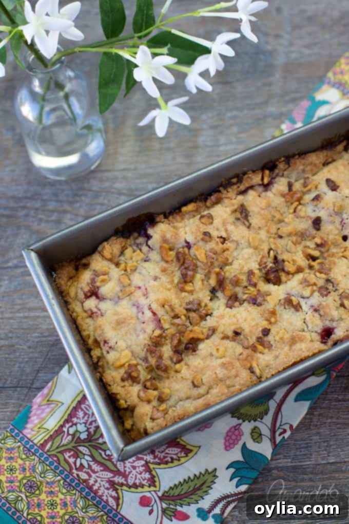 The aroma of delicious raspberry coffee cake will make you so hungry! A beautifully baked cake with a golden crumb topping and visible raspberry swirls.
