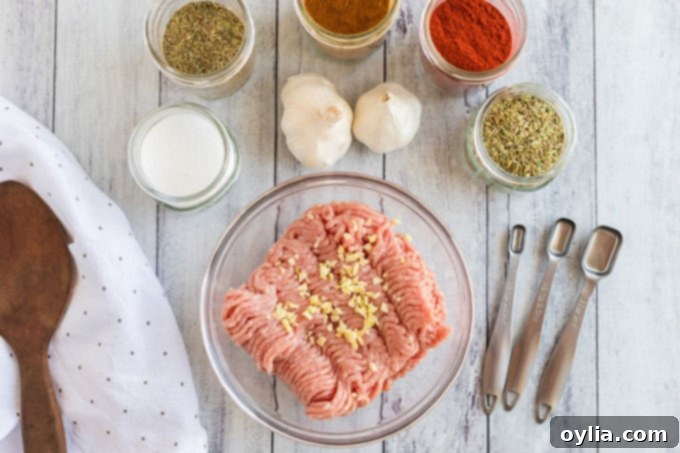 ingredients for pizza sausage, ground pork, spices and herbs