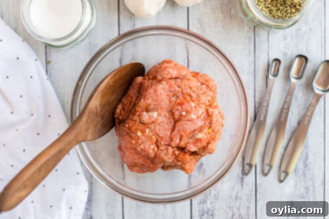 ground pork in bowl with spoon