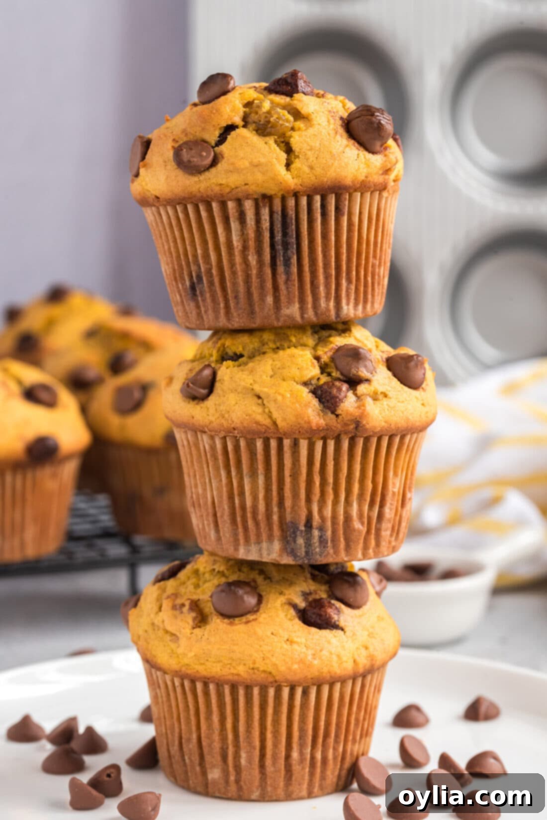 Stack of warm, fluffy Chocolate Chip Pumpkin Muffins with chocolate chips visible