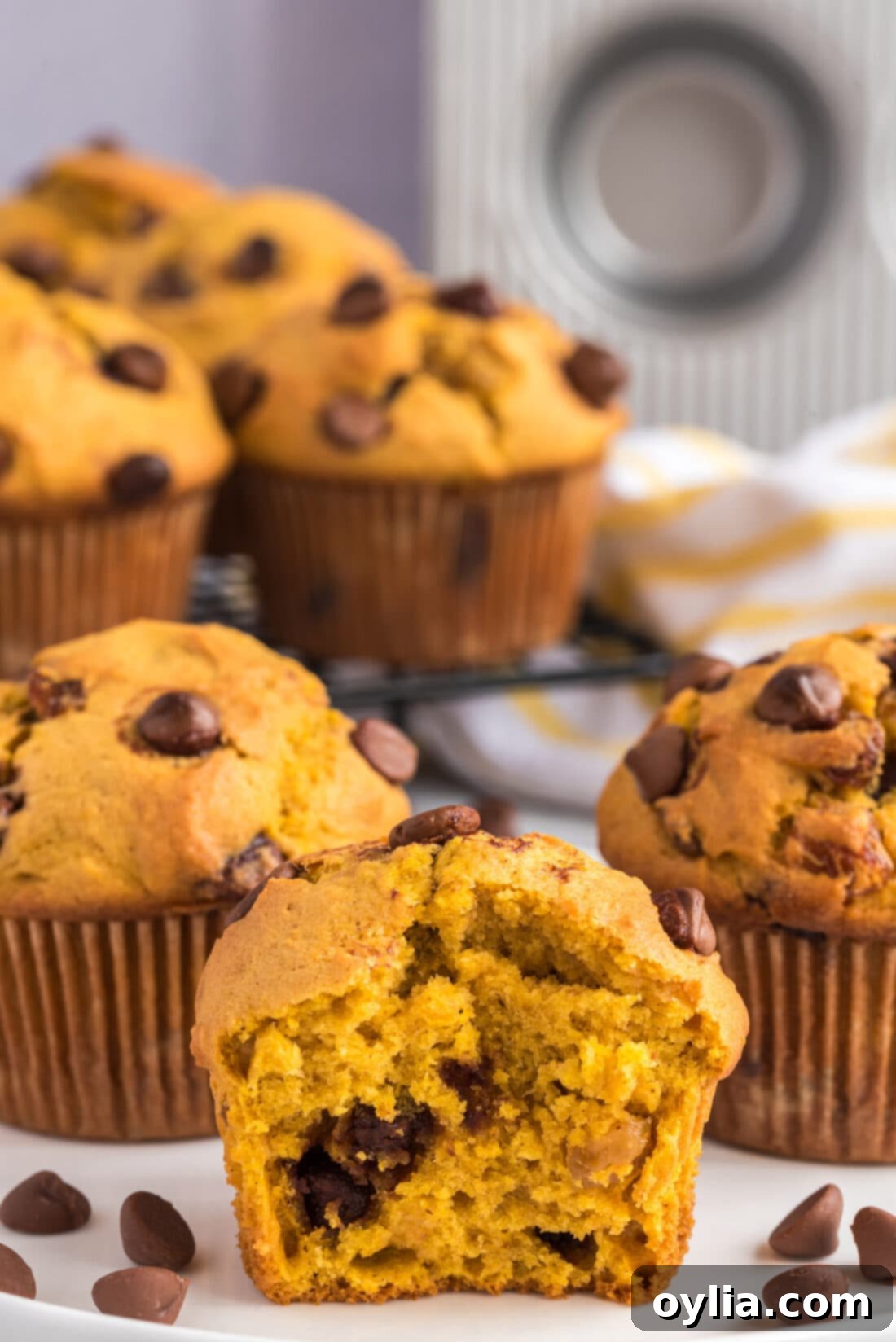 Halved Chocolate Chip Pumpkin Muffin showing moist interior and chocolate chips