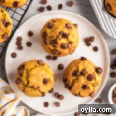 A top-down shot of several freshly baked Chocolate Chip Pumpkin Muffins