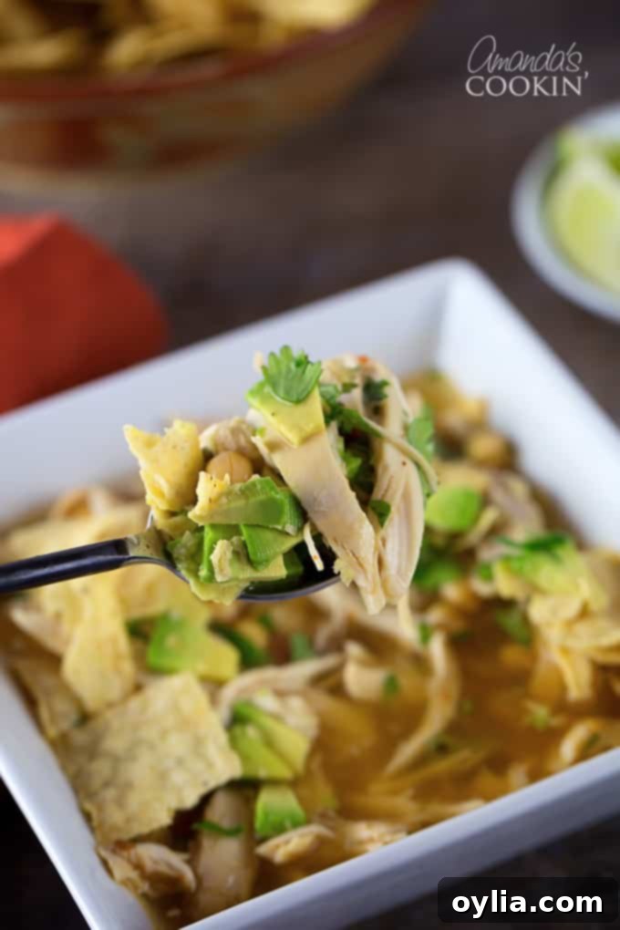 A spoonful of chipotle chicken soup.