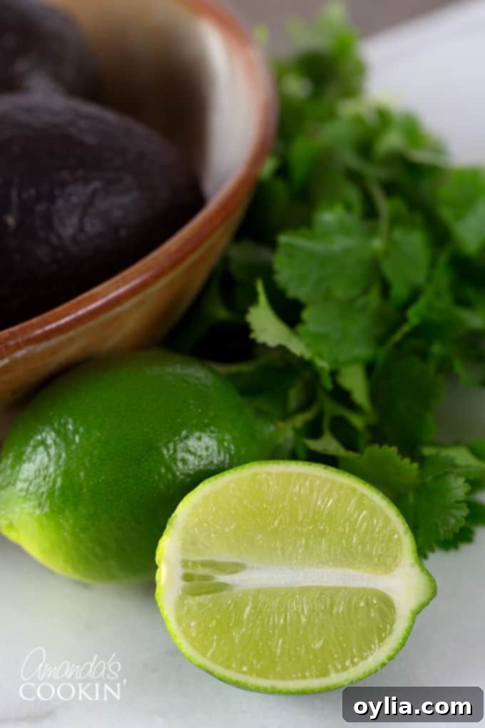 A close up of limes, avocado and cilantro.