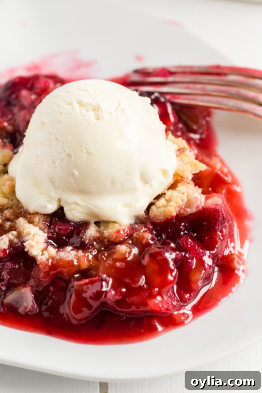 Close up photo of Prize Winning Rhubarb Crumble in a bowl topped with ice cream