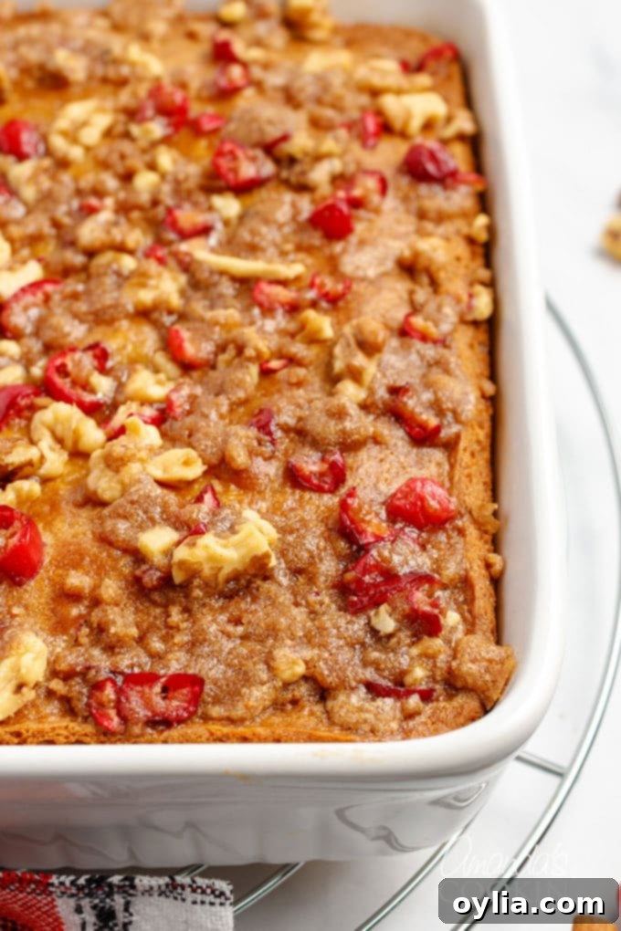 Freshly baked cranberry streusel coffee cake in a baking pan, ready to be sliced