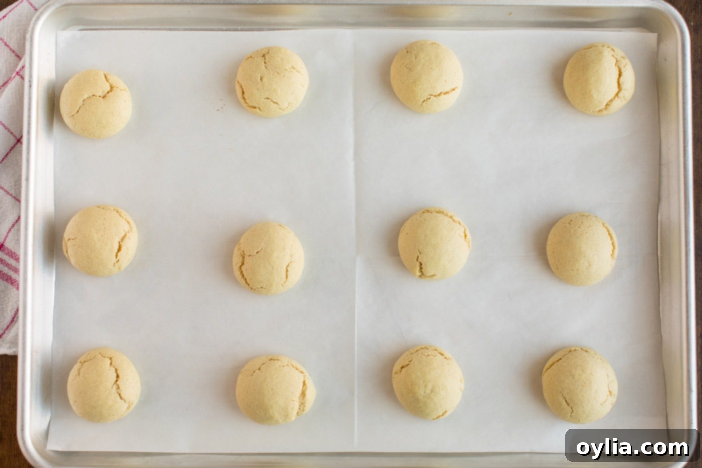 Freshly baked Italian Anisette Cookies cooling on a baking sheet, displaying their light golden bottoms and perfectly pale tops, ready for glazing.