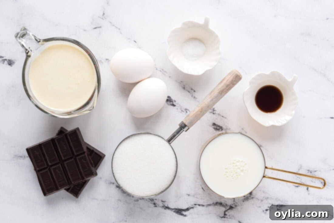 All ingredients for Homemade Chocolate Ice Cream laid out