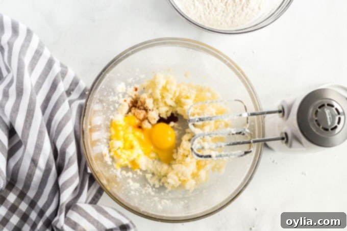 Authentic Mexican Sweet Treats 3 Mixing bowl with creamed butter and sugar for sugar cookies