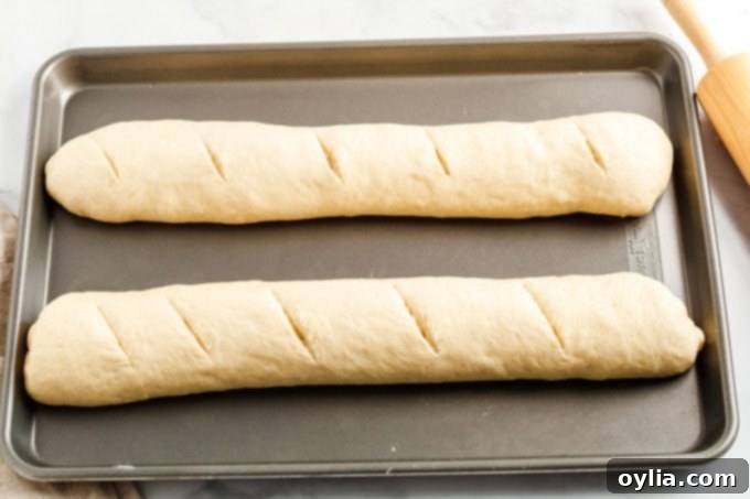 Two shaped loaves of Italian bread dough with diagonal slashes, placed on a greased baking sheet, ready for the second rise.
