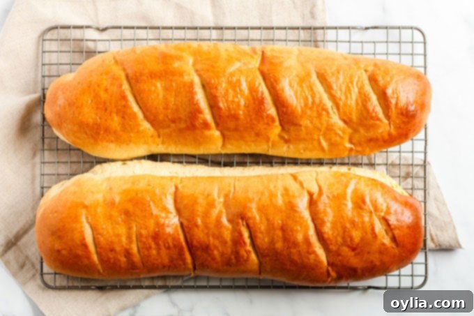 Two golden-brown, freshly baked Italian bread loaves cooling on a wire rack after being removed from the oven.