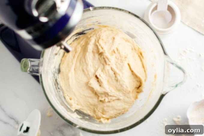 Bowl of sticky bread dough after all flour has been added, before the first rise.