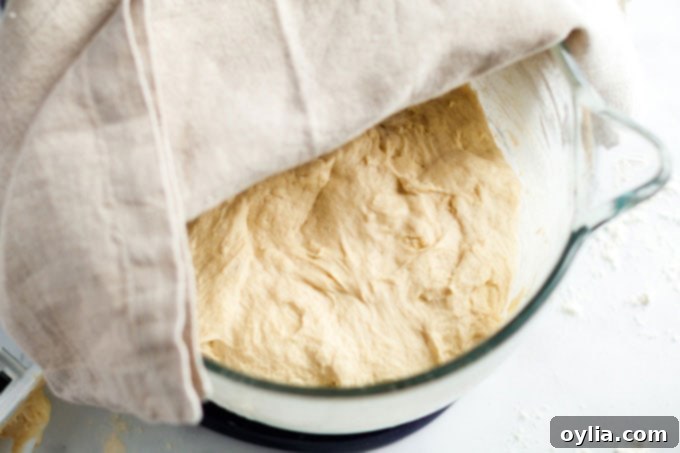 Bread dough in a mixing bowl covered with a kitchen towel, after completing its first rise.