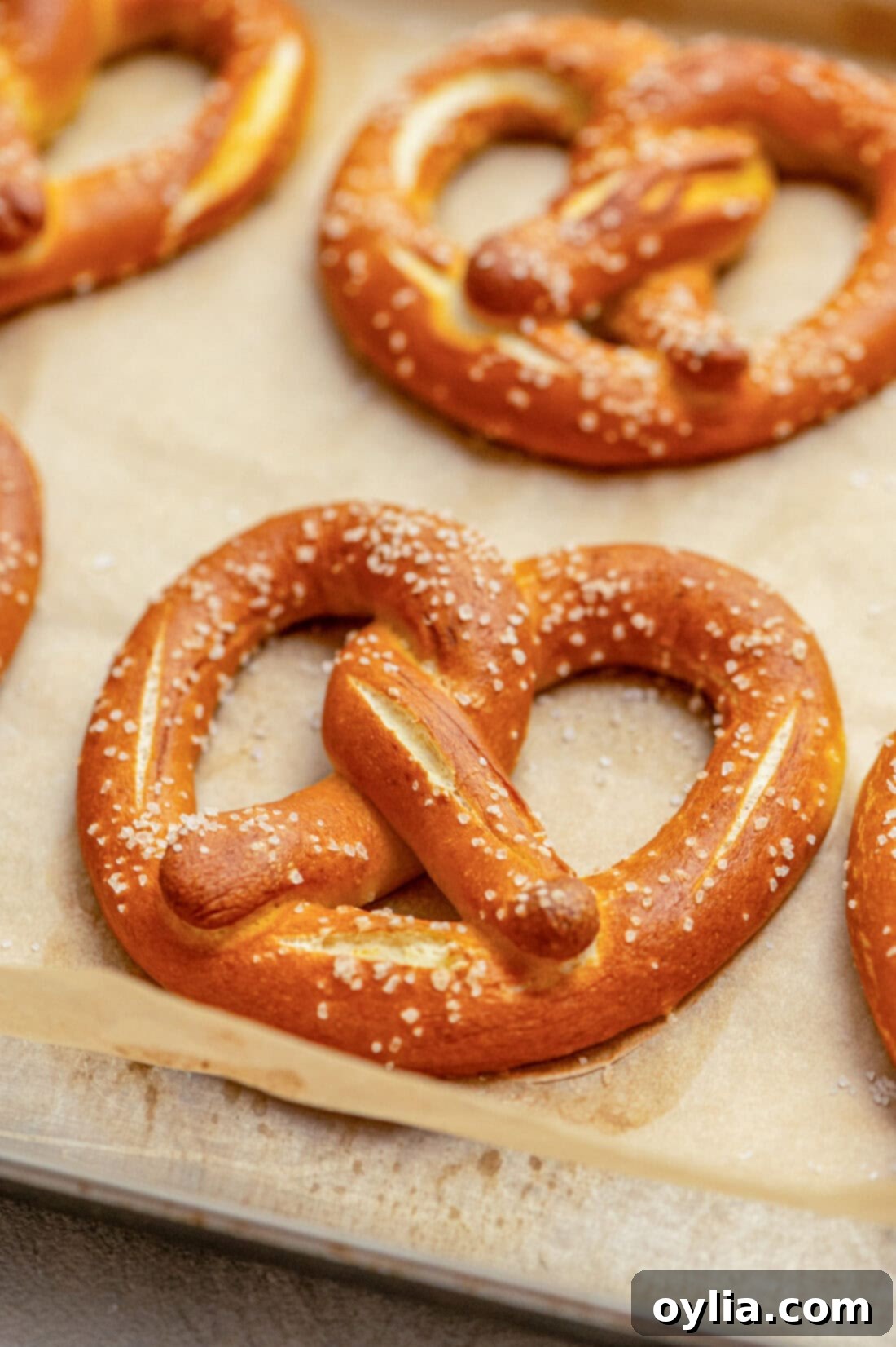 Bake Your Own German Pretzels 3 Several homemade German pretzels arranged artfully on parchment paper, ready for baking.
