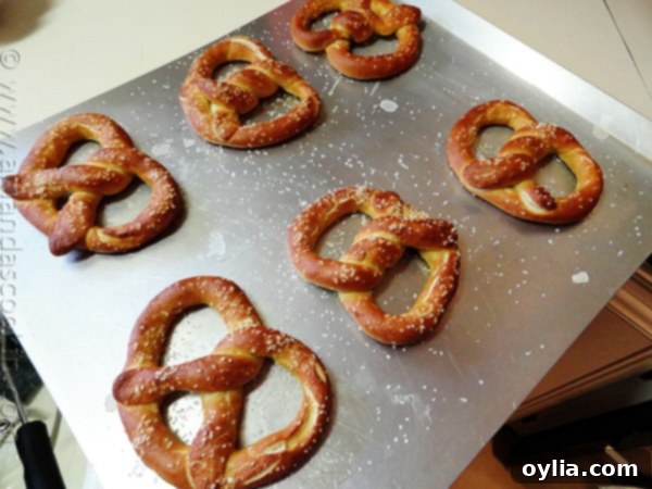 Bake Your Own German Pretzels 5 An overhead view of several unbaked homemade German pretzels, freshly dipped and glistening on a baking sheet, ready for the oven.