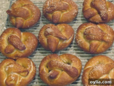 Bake Your Own German Pretzels 8 A close up overhead shot of homemade German pretzels, showcasing their texture and how they looked in an earlier attempt.