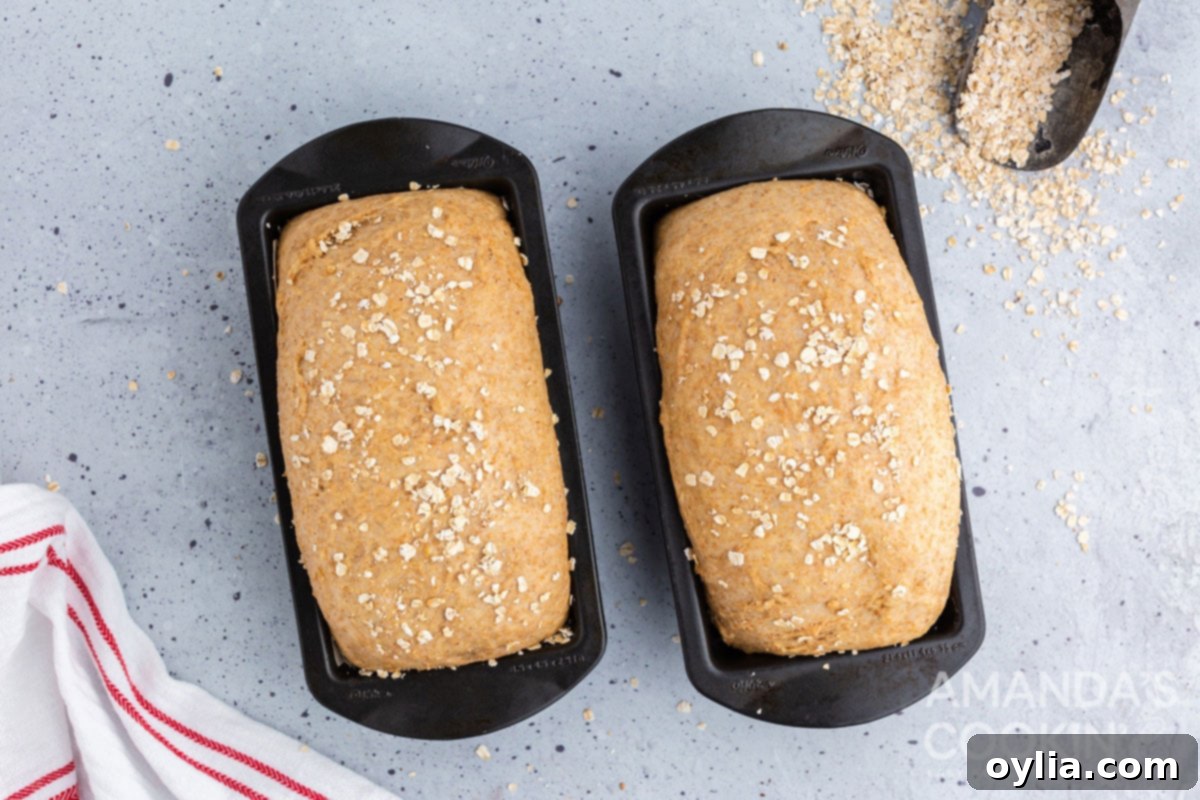 2 loaves that have risen