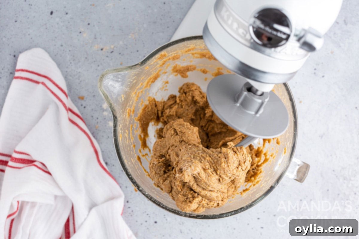 kneaded bread dough on mixer dough hook