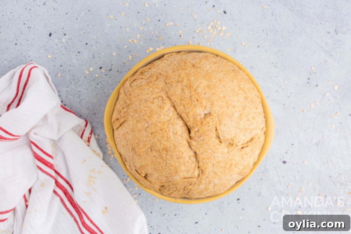 full bowl of bread dough that has risen