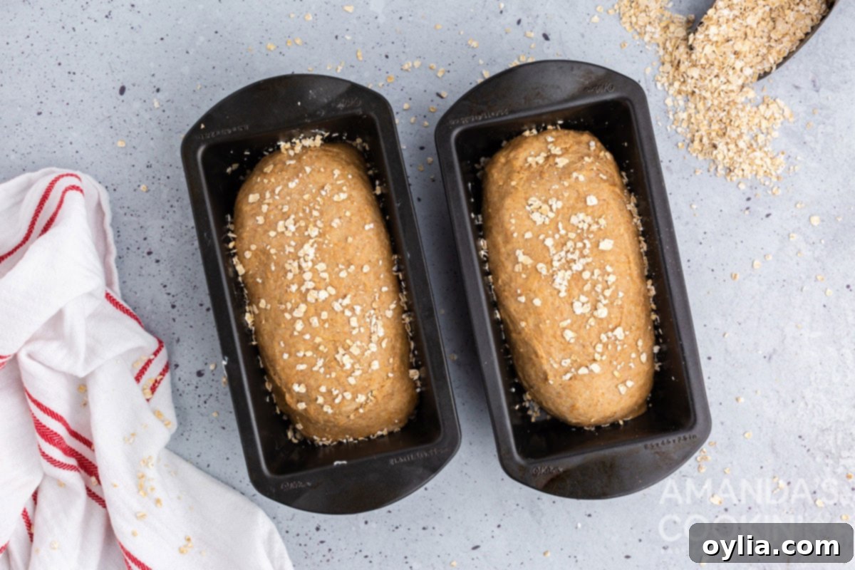 two loaf pans with bread dough