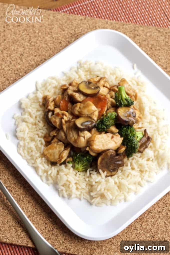 A plate of Moo Goo Gai Pan, a chicken and mushroom stir-fry served with rice