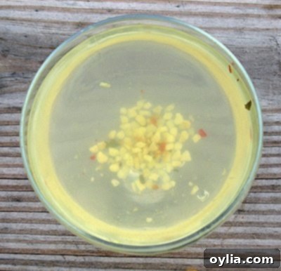 An overhead photo of a clear glass of pickle juice surrounded by fresh dill and pickling spices, emphasizing its culinary potential.