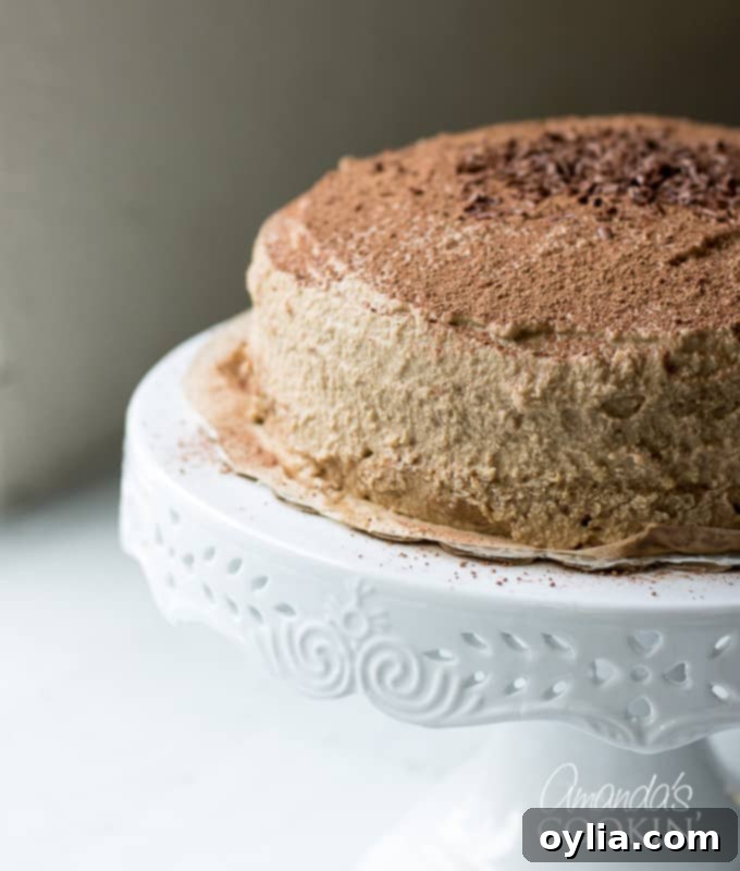 Velvet Tiramisu Dream 10 Decorative chocolate shavings delicately placed on top of the tiramisu cake.