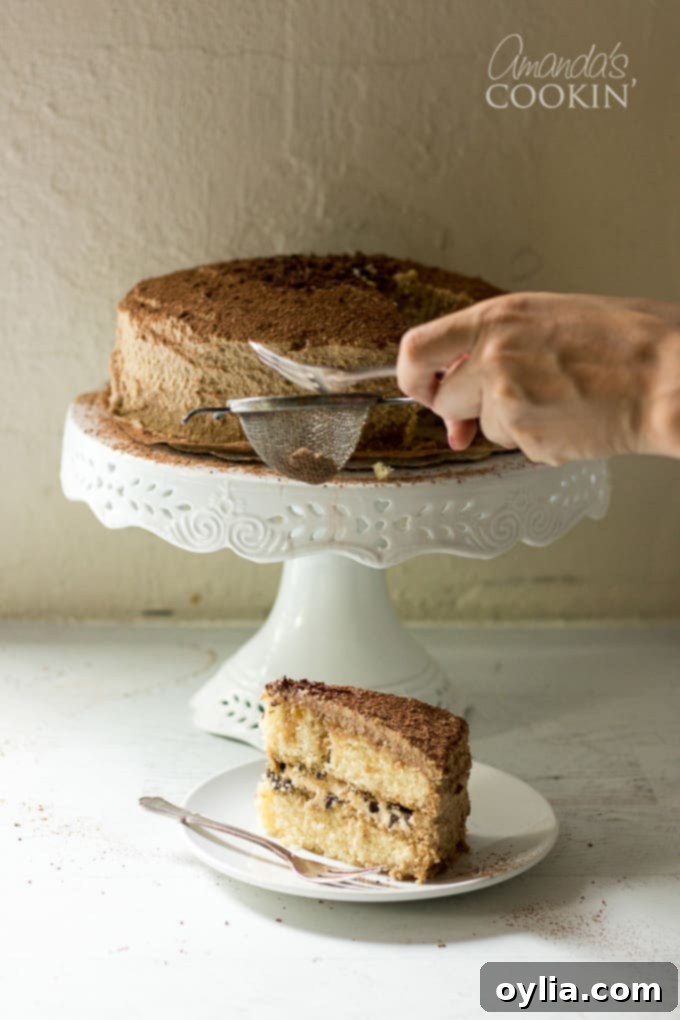 Velvet Tiramisu Dream 11 A final, enticing close-up of a slice of Tiramisu cake, showing its irresistible layers.