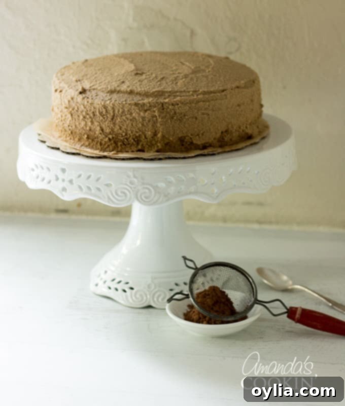 Velvet Tiramisu Dream 12 A cocoa duster positioned next to a beautifully frosted Tiramisu cake, ready for the final touch.