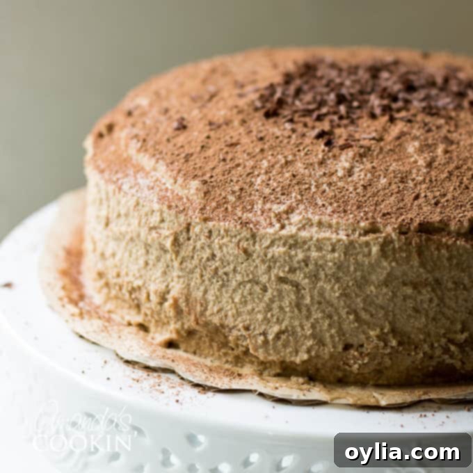 Velvet Tiramisu Dream 13 A top-down view of a complete Tiramisu cake, showing its circular form and cocoa topping.