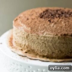 Velvet Tiramisu Dream 14 tiramisu cake