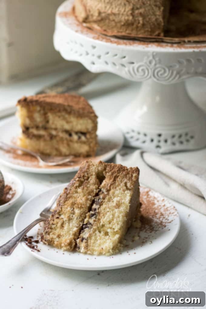 Tiramisu dessert in a layered Tiramisu cake. Indulge in espresso infused cake layers, mascarpone cheese filling, and a decadent coffee flavored icing. #tiramisucake #tiramisudesserts #partycake #cakerecipes #tiramisu #mascarpone #cocoa #amaretto #espresso #espressodesserts Another perspective of a single piece of Tiramisu cake, highlighting the generous frosting and cocoa dusting.