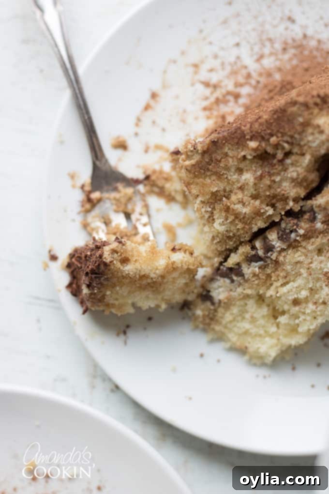 Tiramisu dessert in a layered Tiramisu cake. Indulge in espresso infused cake layers, mascarpone cheese filling, and a decadent coffee flavored icing. #tiramisucake #tiramisudesserts #partycake #cakerecipes #tiramisu #mascarpone #cocoa #amaretto #espresso #espressodesserts A beautiful, thick slice of Tiramisu cake, ready to be enjoyed.