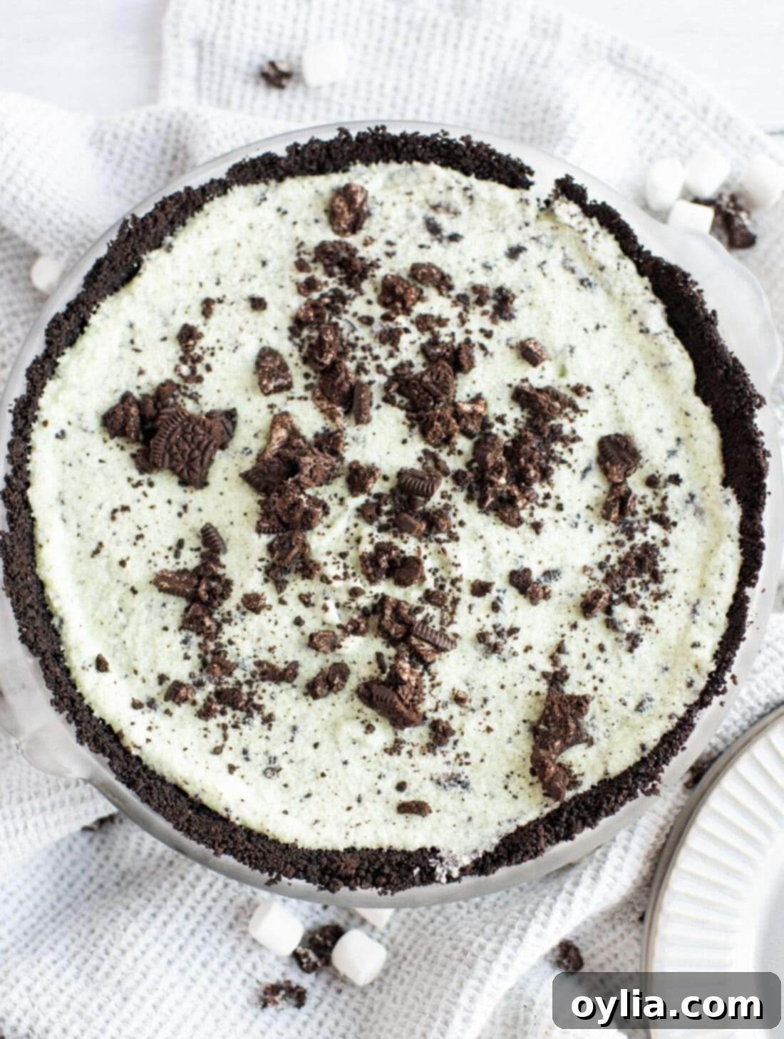 Emerald Mint Dream 3 overhead view of Grasshopper Pie