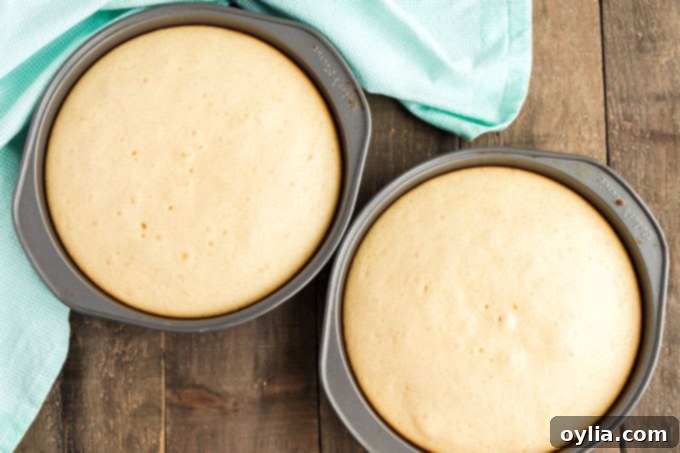 Timeless Vanilla Cake 5 two round cake pans with baked white cake