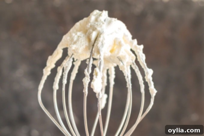 Timeless Vanilla Cake 7 whisk attachment covered in whipped cream