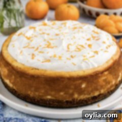 Close up photo of a Mandarin Orange Cheesecake