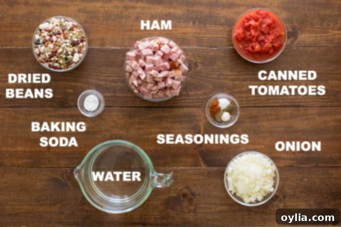Labeled illustration of essential ham and bean soup ingredients: dried beans, ham, onion, canned tomatoes, and spices