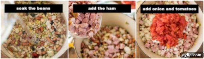 Illustrated steps for soaking beans, rinsing, and adding broth ingredients to a stockpot for ham and bean soup