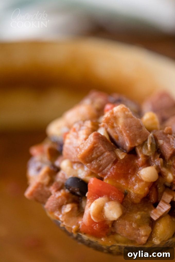Close-up photos of a ladle full of steaming ham and bean soup, showing tender beans and ham chunks