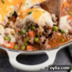Shepherds Comfort Pie 4 A scoop of homemade Shepherd's Pie, showcasing the golden mashed potato topping and savory meat filling.