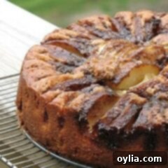 A close up photo of a Greek apple pastry, golden and inviting.