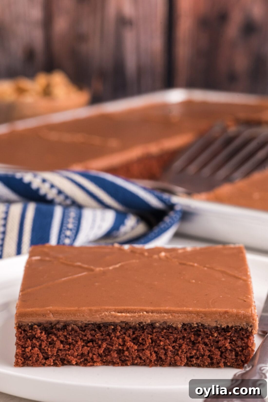 Slice of decadent Chocolate Texas Sheet Cake with a rich, fudgy frosting on a white plate