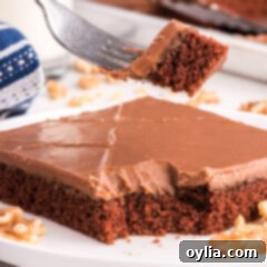 Close-up of a square slice of Chocolate Texas Sheet Cake with a fudgy frosting