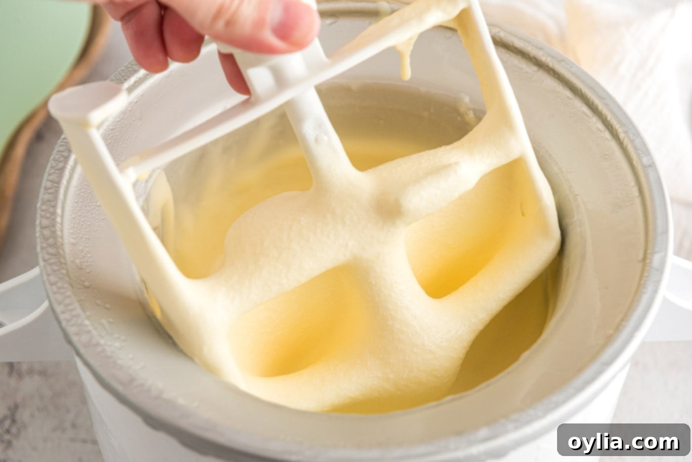 Ice cream maker paddle being lifted out of the ice cream maker to show texture