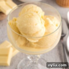 Scoops of White Chocolate Ice Cream in a sundae cup