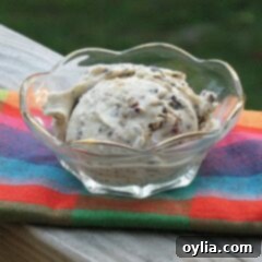 A photo of a bowl of caramel chocolate nut ice cream.