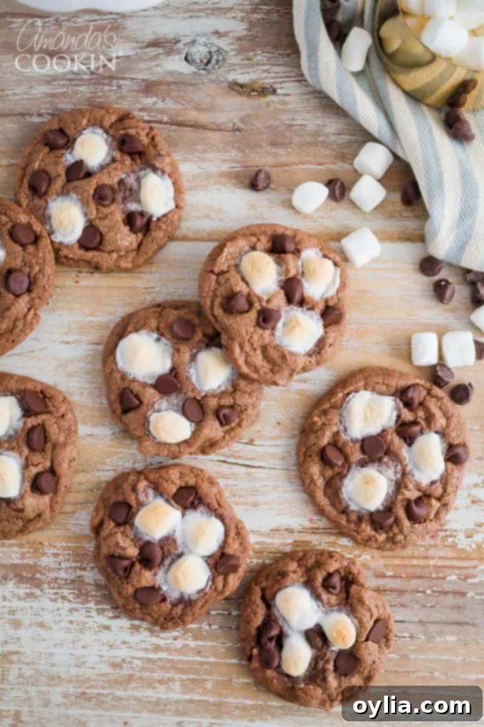 Decadent Mississippi Mud Cookies 2 Ooey gooey Mississippi Mud Cookies for chocolate fanatics!