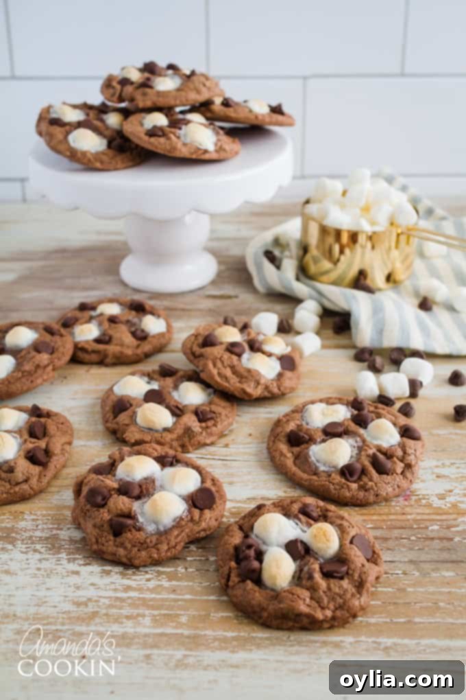 Decadent Mississippi Mud Cookies 3 Mississippi Mud Cookies Recipe