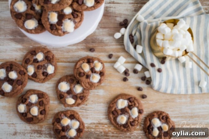 Decadent Mississippi Mud Cookies 5 Mississippi Mud Cookies recipe for chocolate lovers!